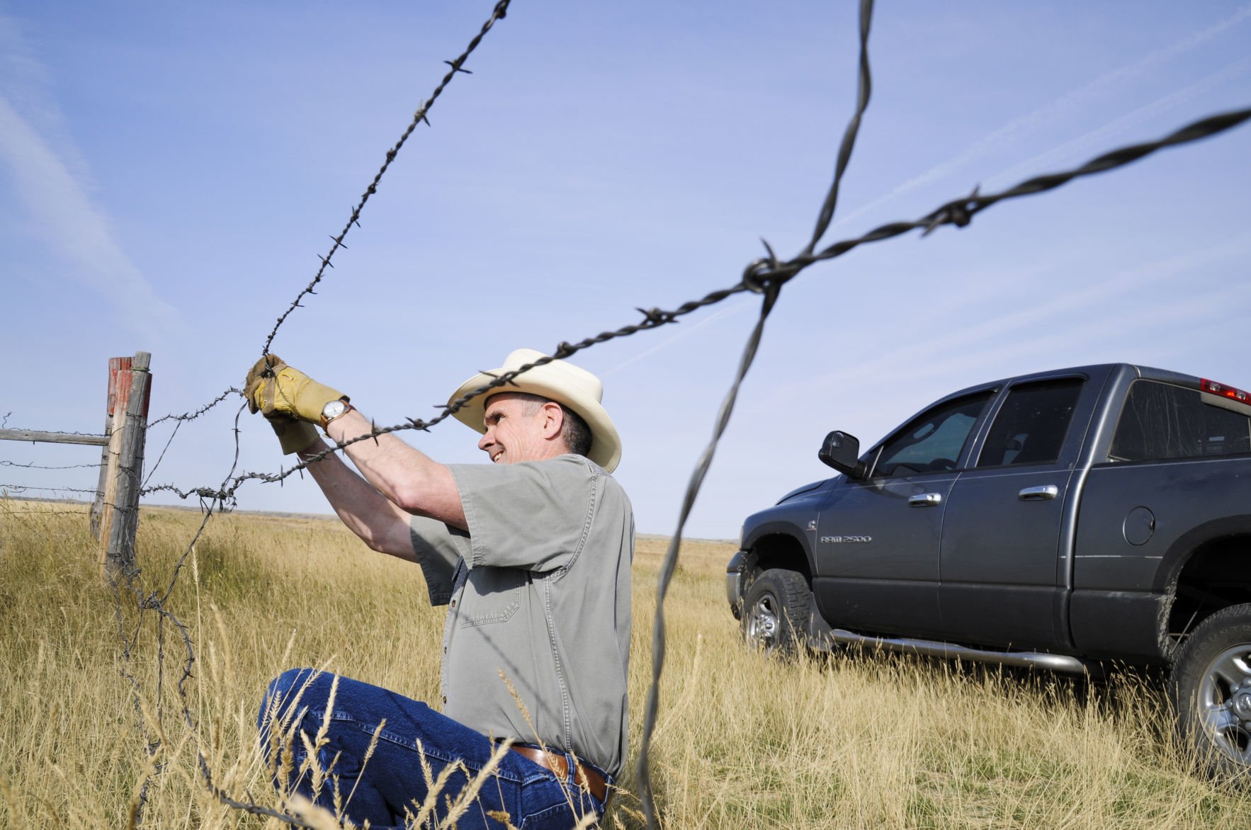 Rosendale fixes fence